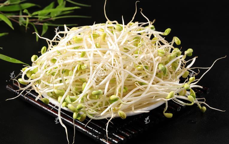 無(wú)公害綠色豆芽，怎么生產(chǎn)出來(lái)的？全套生產(chǎn)過(guò)程如此方便智能